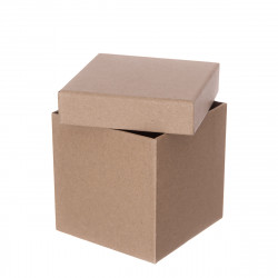 Carton box - DpCraft - 11 x 11 x 11 cm