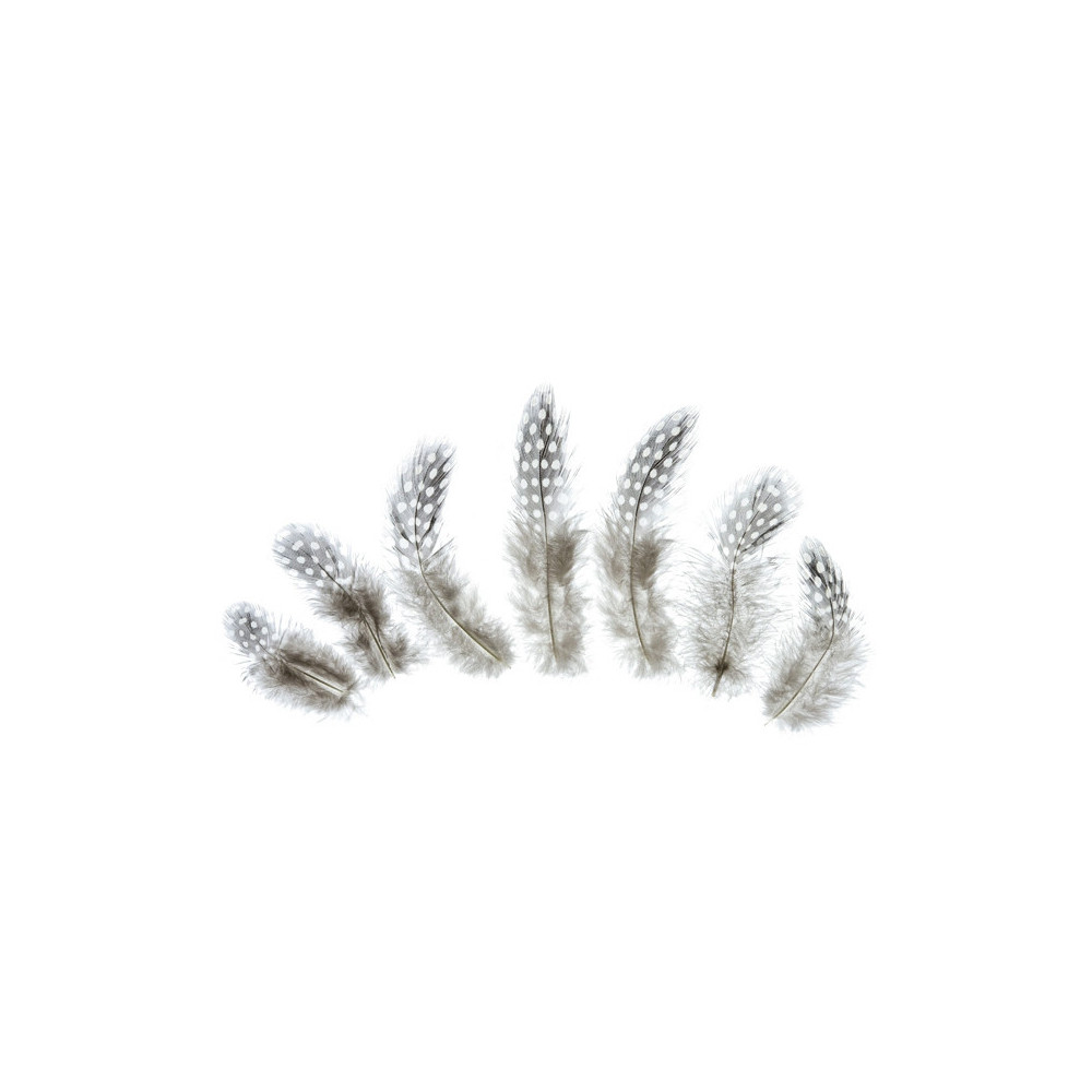 Decorative feathers - brown, 50 pcs.
