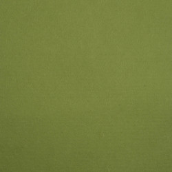 Filc wełniany A4 - zielony, awokado
