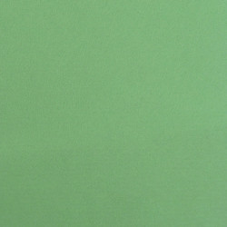 Filc wełniany A4 - delikatny zielony, 1 mm