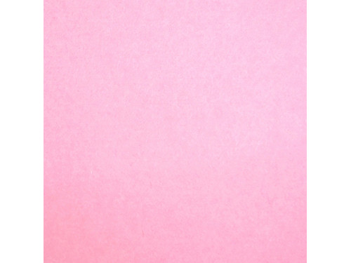 Wool felt A4 - pastel pink, 1 mm
