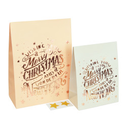 Paper gift bag set Merry Christmas - pink and grey, 2 pcs.
