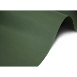 Keaykolour paper 300g - Sequoia dusty dark green A4