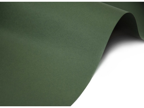 Keaykolour paper 120g - Sequoia dusty dark green A4