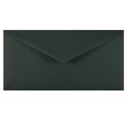 Keaykolour envelope 120g - DL, Holly, dark green