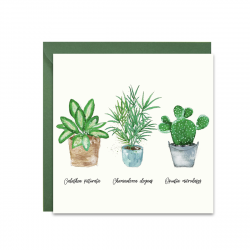 Greeting card - Paperwords - Rośliny doniczkowe, 14 x 14 cm