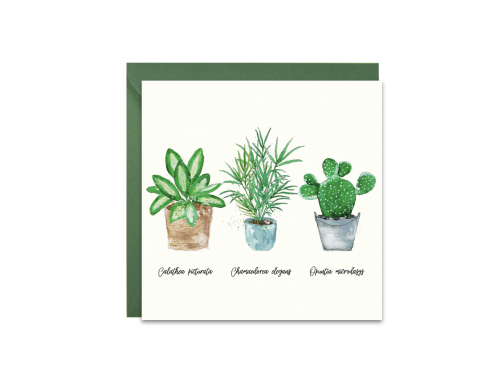 Greeting card - Paperwords - Rośliny doniczkowe, 14 x 14 cm