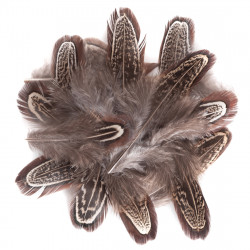 Pheasant feathers - DpCraft - brown, 15 pcs.