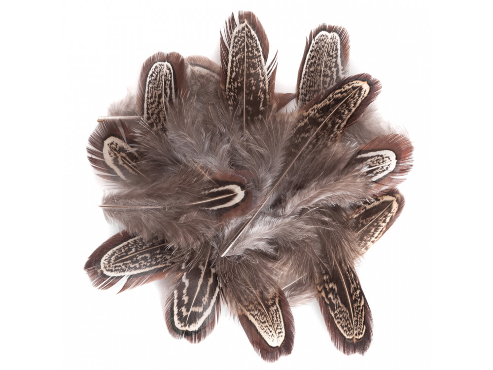 Pheasant feathers - DpCraft - brown, 15 pcs.