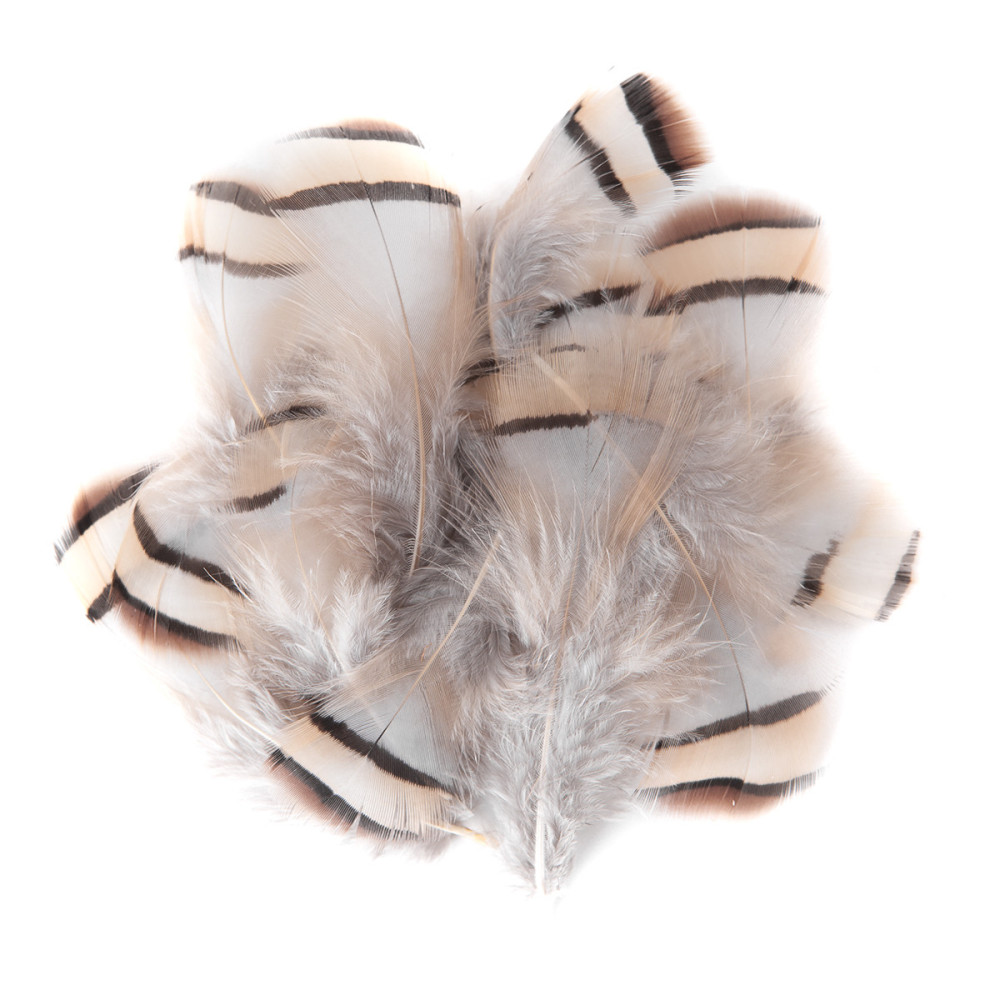 Pheasant feathers - DpCraft - light brown, 15 pcs.