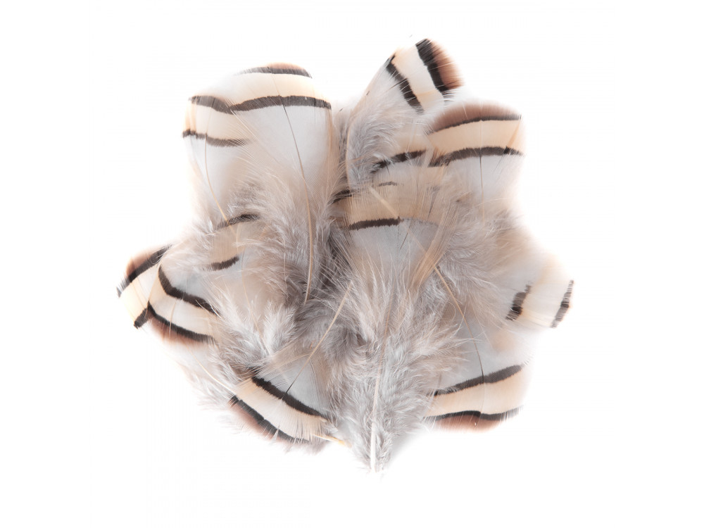 Pheasant feathers - DpCraft - light brown, 15 pcs.