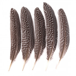 Pheasant feathers - DpCraft - brown, big, 5 pcs.