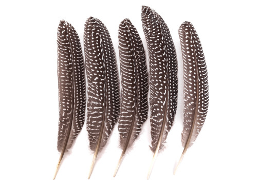 Pheasant feathers - DpCraft - brown, big, 5 pcs.