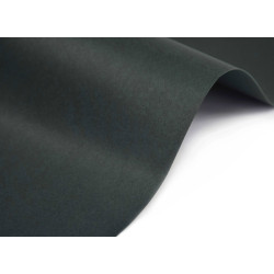 Keaykolour paper 120g - Holly dark green A4