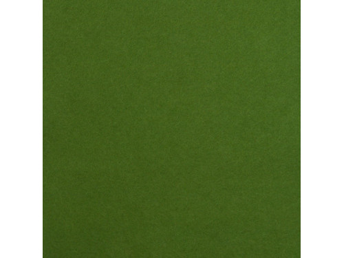 Wool felt A4 - frog green, 1 mm