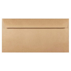 Recycled Envelope 100g - DL, Eko Kraft, brown