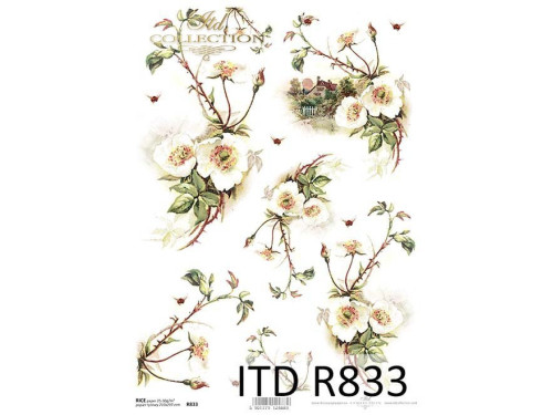 Decoupage paper A4 - ITD Collection - rice, R833