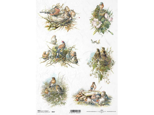 Papier do decoupage A4 - ITD Collection - ryżowy, R857