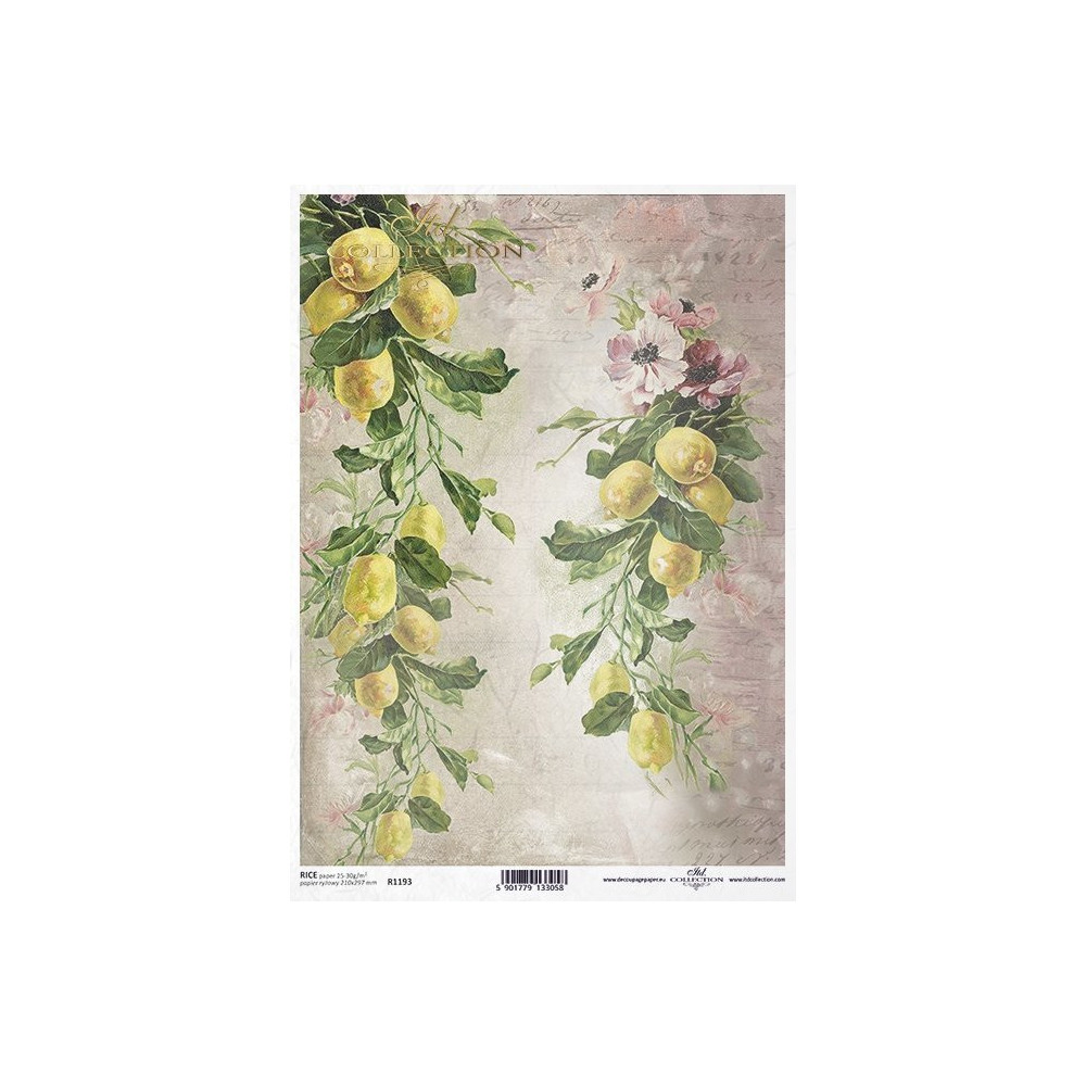 Decoupage paper A4 - ITD Collection - rice, R1193