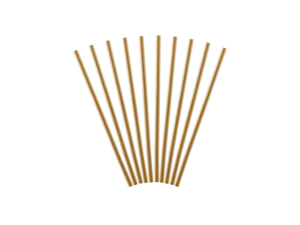 Paper straws - kraft, 19,5 cm, 10 pcs.