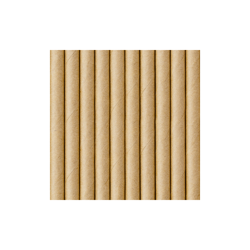 Paper straws - kraft, 19,5 cm, 10 pcs.