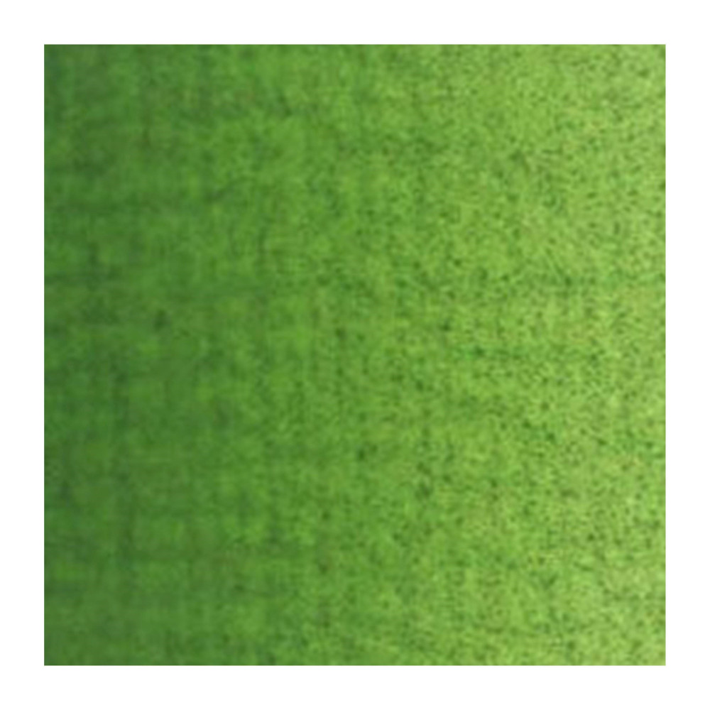 Farba olejna - Van Gogh - Sap Green, 200 ml