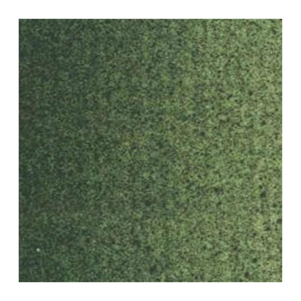 Farba olejna - Van Gogh - Green Earth, 200 ml