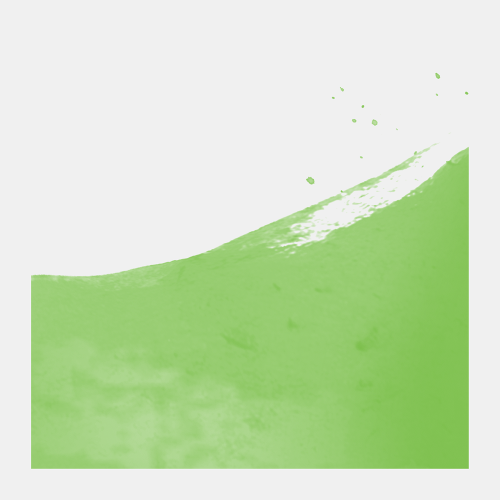 Liquid watercolor Ecoline in bottle - Talens - Light Green, 30 ml