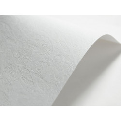Papier ozdobny SKÓRA (134) 246 g biały
