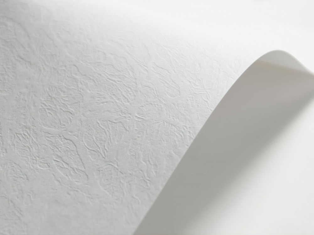 Papier Elfenbens 246g - Skóra (134), biały, A5, 100 ark.