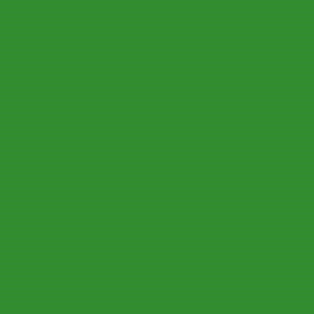 Farba do ceramiki - Talens Art Creation - Leaf Green, 30 ml