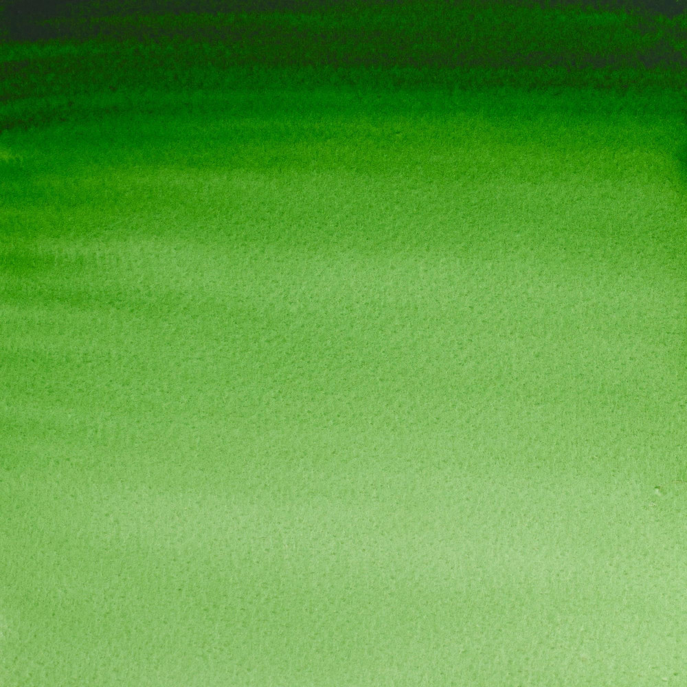 Watercolor paint Professional Watercolour - Winsor & Newton - Hooker's Green, 5 ml