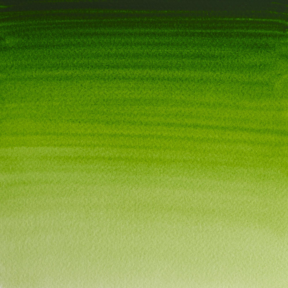 Watercolor paint Professional Watercolour - Winsor & Newton - Permanent Sap Green, 5 ml