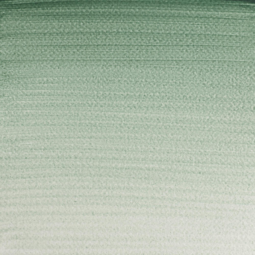 Farba akwarelowa Professional Watercolour - Winsor & Newton - Terre Verte, 5 ml