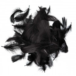 Decorative feathers - DpCraft - black, 10 g