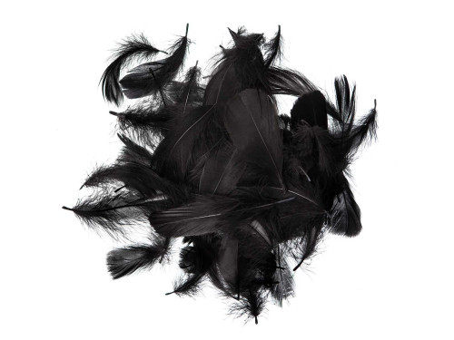 Decorative feathers - DpCraft - black, 10 g