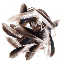Decorative duck feathers - DpCraft - natural, 10 g