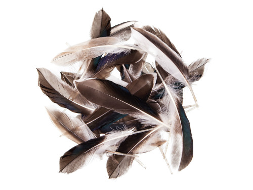 Decorative duck feathers - DpCraft - natural, 10 g
