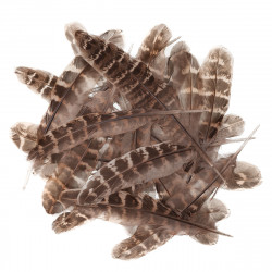 Decorative duck feathers - DpCraft - natural, 5 g