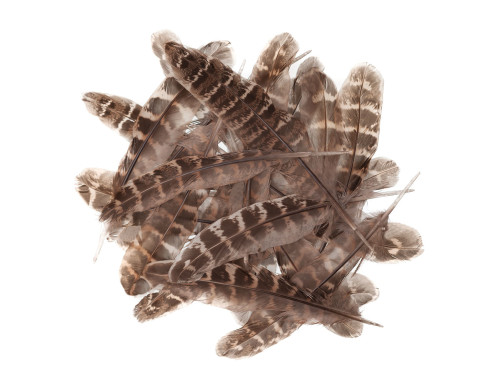 Decorative duck feathers - DpCraft - natural, 5 g