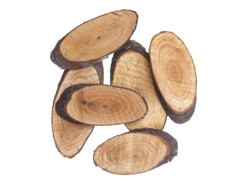 Wood slices - DpCraft - oval, 6 pcs.