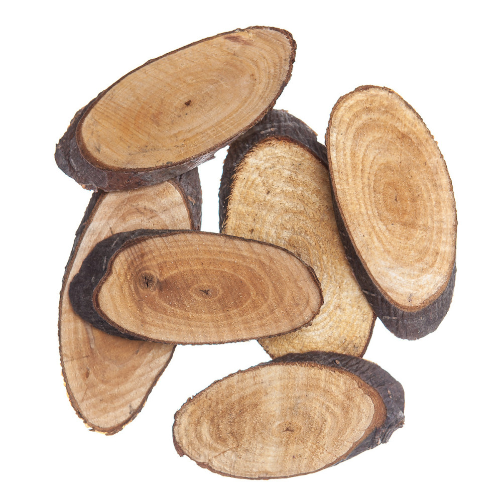 Wood slices - DpCraft - oval, 6 pcs.