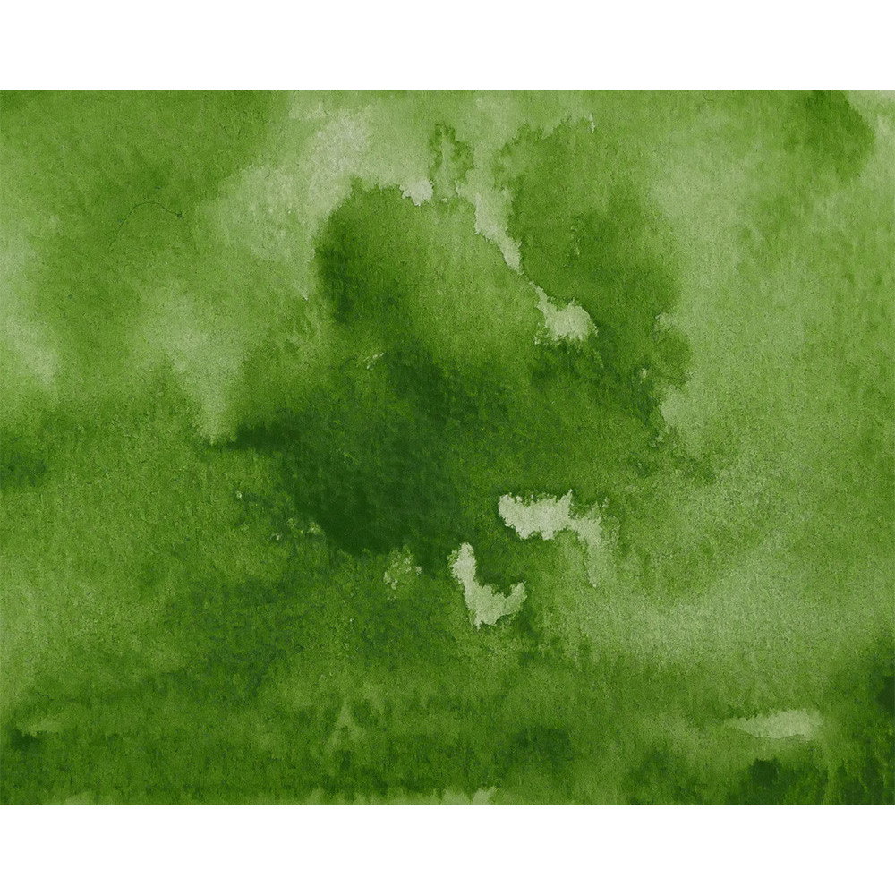 Watercolor paint pan Gansai Tambi - Kuretake - Mid Green