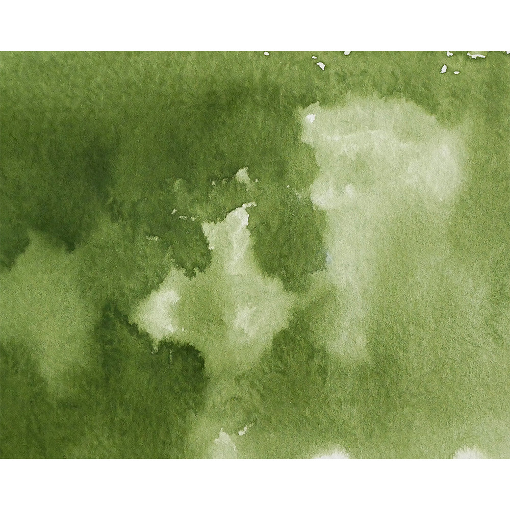 Watercolor paint pan Gansai Tambi - Kuretake - Olive Green