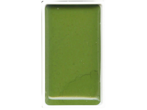 Farba akwarelowa w kostce Gansai Tambi - Kuretake - Sap Green
