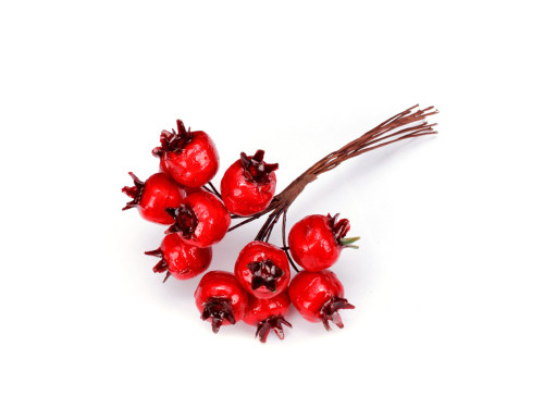 A twig of hawthorn - 10 cm